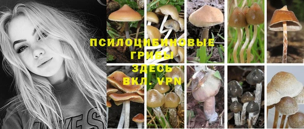 кокаин VHQ Богданович